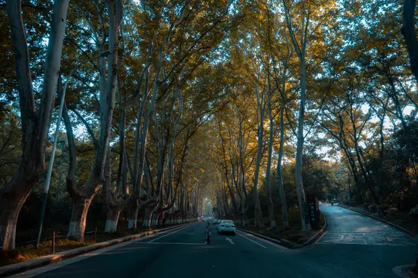 Landscape 2