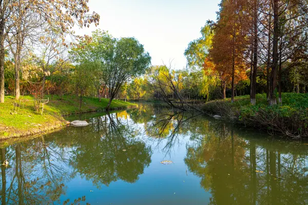 Landscape 10